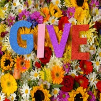 GIVE - GIVE [12 inch]