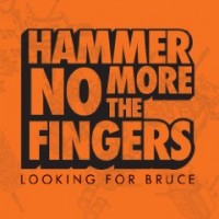 Hammer No More the Fingers - Looking for Bruce (Cover Artwork)