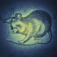 HIGH TIDE - EP2 (Cover Artwork)