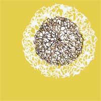 Ida - Lovers Prayers (Cover Artwork)