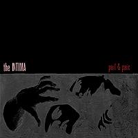 The Intima - Peril & Panic (Cover Artwork)