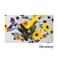 The Bella Vista Social Club - Destroy (Cover Artwork)