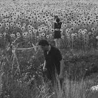 Jesu / Sun Kil Moon - Jesu / Sun Kil Moon (Cover Artwork)