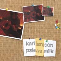 Karl Larsson - Pale As Milk (Cover Artwork)