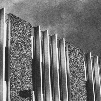 Lace - Human Condition (Cover Artwork)