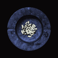 Laura Jane Grace - Stay Alive (Cover Artwork)