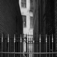 Louder Than Bombs - No News Is Good News [7-inch]