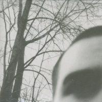 Marshes - The Marshes (Cover Artwork)