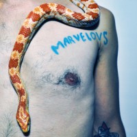 Marvelous Darlings - Single Life (Cover Artwork)