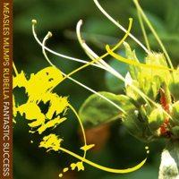 Measles Mumps Rubella - Fantastic Success (Cover Artwork)