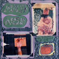 Modest Mouse - Sad Sappy Sucker