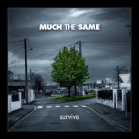 Much the Same - Survive