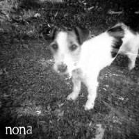 NONA / Crow Bait - Split [7-inch] (Cover Artwork)
