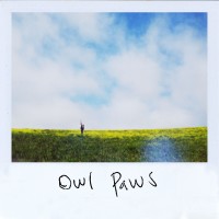 Owl Paws - Owl Paws