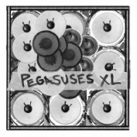 Pegasuses-XL - Electro Agitators 