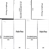 Perfect Pussy - I Have Lost All Desire For Feeling [Cassette] (Cover Artwork)