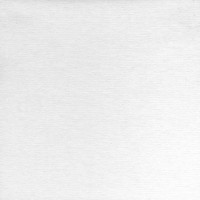 Permanent Bastards - Emericans