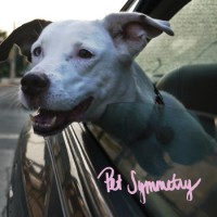 Pet Symmetry - Two Songs About Cars. Two Songs With Long Titles. [7-inch] (Cover Artwork)