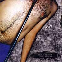 Phoenix Bodies - Too Much Information [CD/DVD] (Cover Artwork)