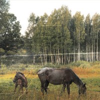 Pianos Become the Teeth - Old Pride [reissue]