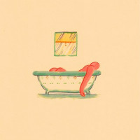 Pile - A  Hairshirt of Purpose (Cover Artwork)