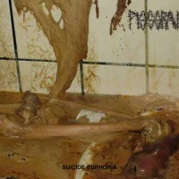 Pissgrave - Suicide Euphoria (Cover Artwork)