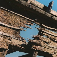 Pocket - Full Bloom (Cover Artwork)