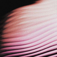 Polar - Everywhere, Everything (Cover Artwork)