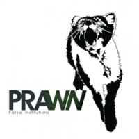 Prawn - False Institutions