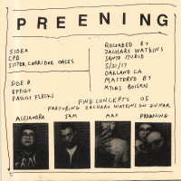 Preening - Nice Dice [7-Inch] (Cover Artwork)