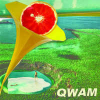QWAM - IDC [7-inch] (Cover Artwork)