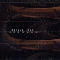 Raised Fist - Ignoring the Guidelines