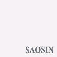 Saosin - Translating The Name