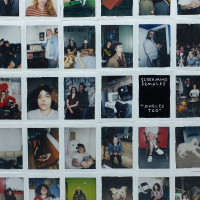 Screaming Females - Singles Too