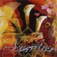 Seemless - What Have We Become