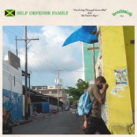 Self Defense Family - I'm Going Through Some Shit [7-inch]
