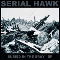Serial Hawk - Buried in the Gray [12-inch] (Cover Artwork)