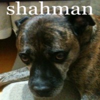 Shahman - Who Am I? [7-inch]