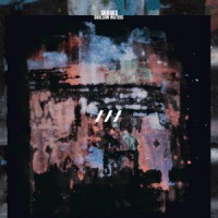 SHARKS - Shallow Waters