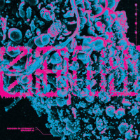 S.H.I.T. - Hidden In Eternity [7-inch]