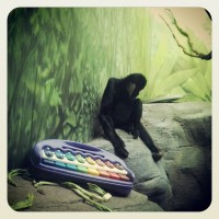 Shitty Weekend - Son Of AC/DC