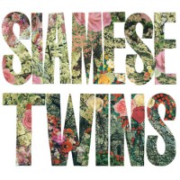 Siamese Twins - Still Corner (Cover Artwork)