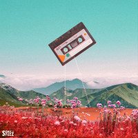 Sonic Fuzz - Sonic Fuzz (Cover Artwork)