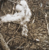 Sparrows - Cold Ground (Cover Artwork)