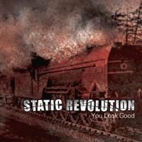 Static Revolution - You Look Good (Cover Artwork)