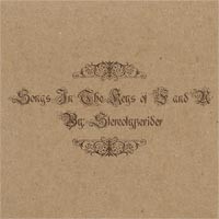 Stereotyperider - Songs in the Keys of F & U (Cover Artwork)