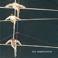 The Messthetics - The Messthetics (Cover Artwork)