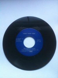 The Mountain Goats - Steal Smoked Fish [7-inch]