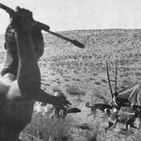 The Reptilian - Boys' Life