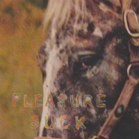 The Spirit of the Beehive - Pleasure Suck (Cover Artwork)